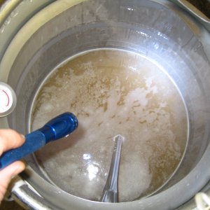 Boil