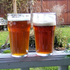 beer26