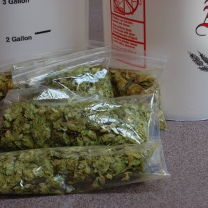 Hops