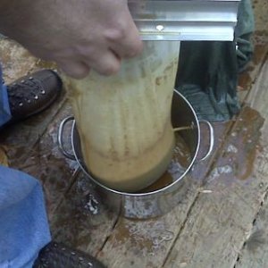IMG00273