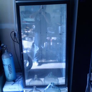 Fermentor