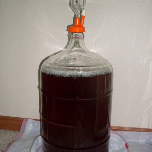 FirstBrewApfelwein