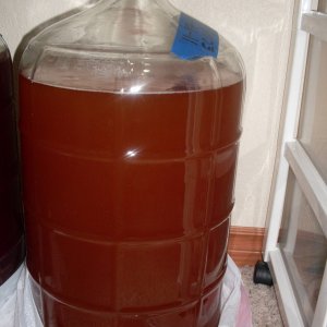 Apfelwein