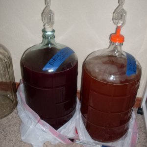 ApfelweinampBlackCherryShiraz
