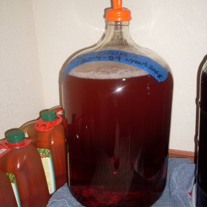 CranApfelweinWyeast3068