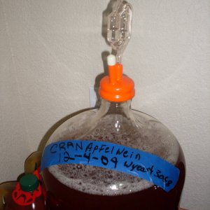 CranApfelweinWyeast3068
