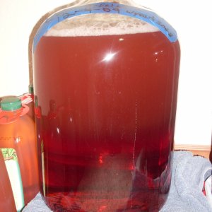 CranApfelweinWyeast3068