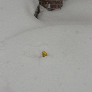 levelondriveway