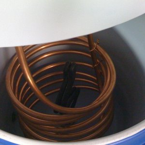 BREWTv10