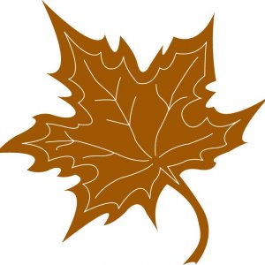 Maple_Leaf