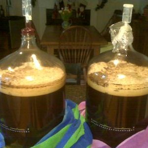 brewgasm_porters