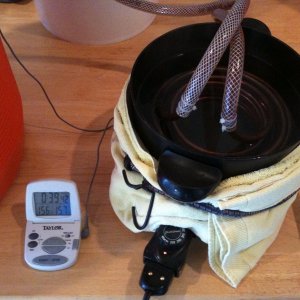 photo_2_6