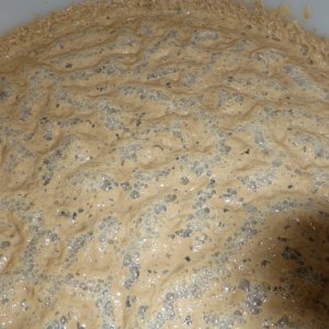 yeast4
