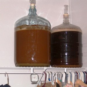 Fermenters_on_Shelf