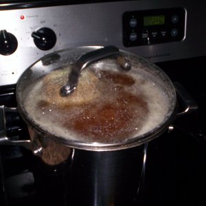 Myfirstlittlebrewpot