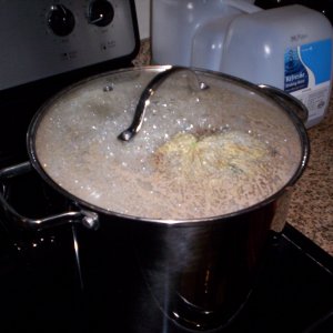 Nextbrewpotstillwasntbigenough