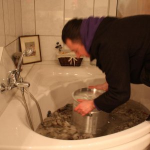 Improvising