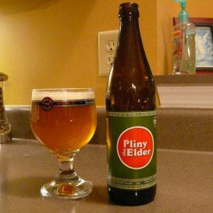 Pliny1