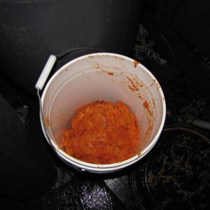 IMG_02652