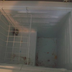 100_06381