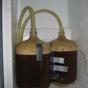 Probably an IPA of some sort