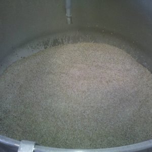 2010-02-13_11_37_40