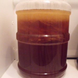 DSCF2400