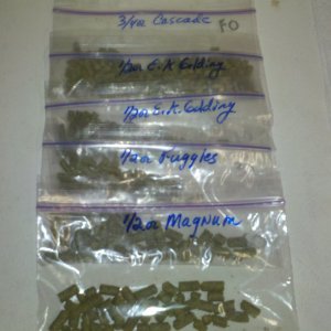RyePaleAleHops