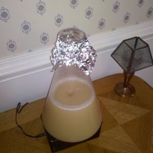 YeastStarter