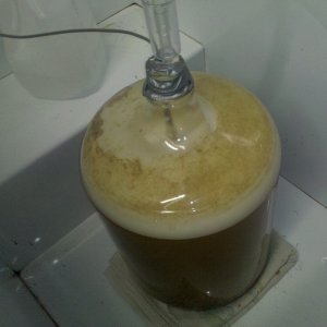 FermentingAway
