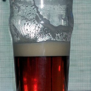 beer100