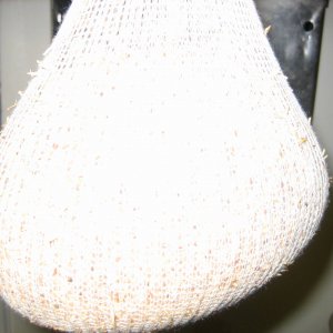 MeshbagwithGrains