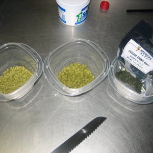 Bitteringhops