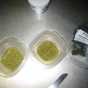 Bitteringhops