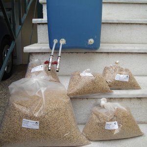 BrewDay