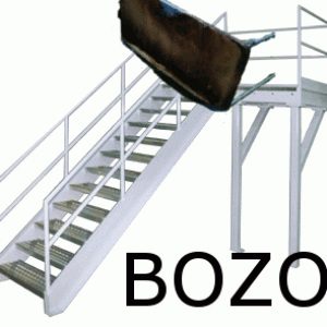 bozofail