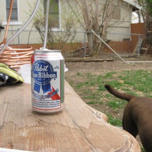 Thebrewbeer