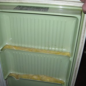 Thedoor