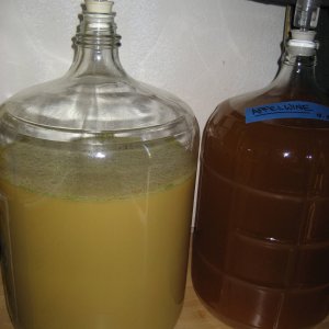 HausPaleAle