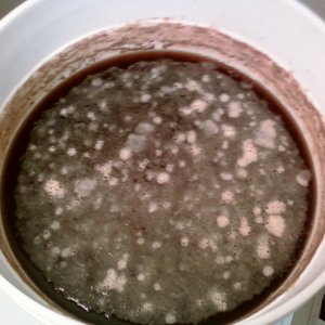 ThisiswhatOneLookedlike
