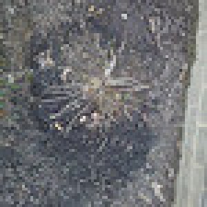 4471042884_c4be0270b3_s