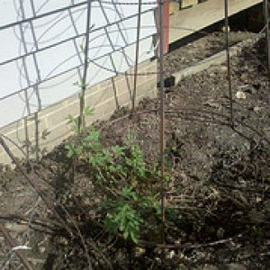 4490980995_1cdb389519_m