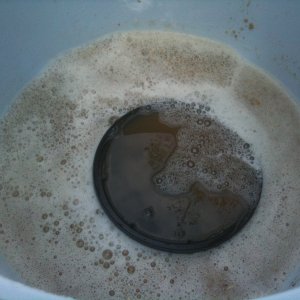 BitterBrewDay