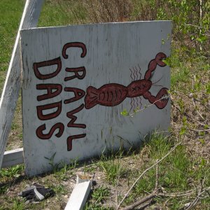 CrawlDads