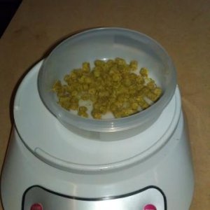 Scales!