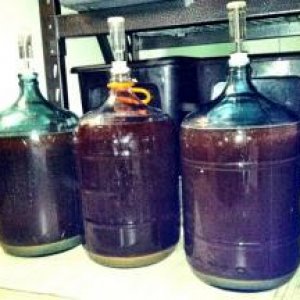 English Ale, Belgian Dubbel, and Belgian Wit
