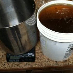Huckleberry / Blackberry melomel in the making. That's a lot of honey to work from!!