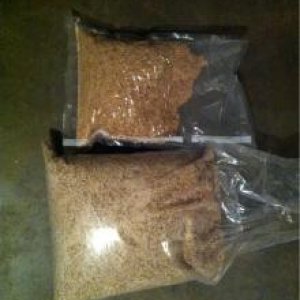 Grains and rice hulls for Yuri's 6 gallon Thunderstruck Pumpkin Ale all-grain recipe.