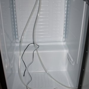 IMG 4298