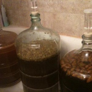 need another fermentation chamber... swamp shower will have to do.